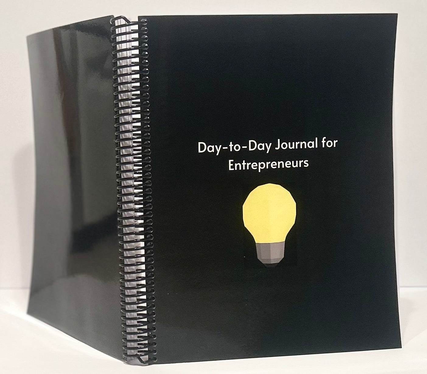 Day-to-Day Journal for Entrepreneurs (Coil Binding)